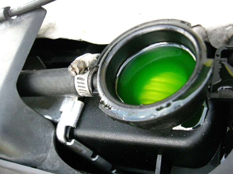 Antifreeze Concentrate (5 Litres)